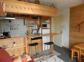 Confort aux 7 Laux: 6 pers, proche pistes, balcon - FR-1-557A-58