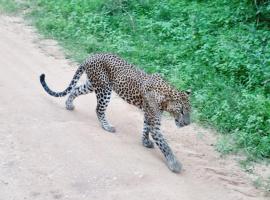 Mamba Yala, Glampingunterkunft in Tissamaharama
