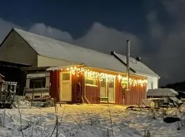 Tiny House Anneliese Hunde okay