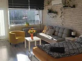 Baross apartman