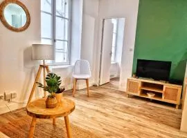 Appartement centre d'Orléans en bord de Loire