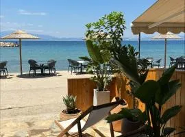 Casa Del Mar Thassos