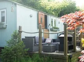 Shepherds Hut with Hot Tub