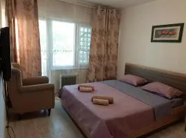Cosy flat in the centre, near the bus and railway station
