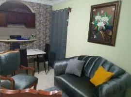 confor y seguridad
