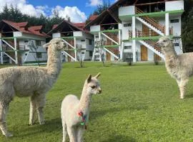 RESORT ALAPA