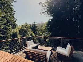 Evergreen Escape