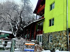 Vila Giulia Voineasa, hotel in Voineasa