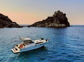 Our Cruises
