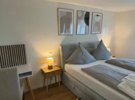Alpinelounge -modern - spacious