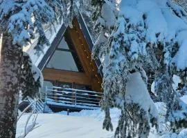 Gorska bajka - Borovica, planinska kuća za odmor i wellness