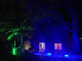 Casa mato tijucas