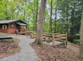 Mountainside Cabin, Secluded, Hot Tub, Lake Accessible