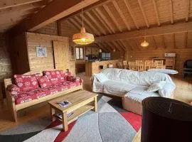 Chalet spacieux avec balcon et cuisine équipée - FR-1-787-112