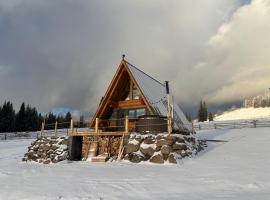 A mon Chalet，位于Vărşag的木屋