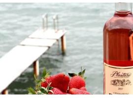 Дарина, hotel in Igalo