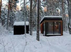 Minimaja ja saunamaja vaatega männimetsale
