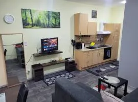 Wohnung in Elz