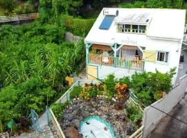Charmante maison avec jardin clos à Trois-Rivières.