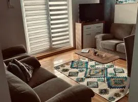 Apartman Zaga