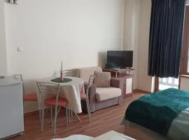 Sunny studio in Pamporovo