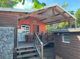 La Bananeraie Apt 35m2 piscine jardin tropical parking privé
