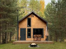 Local Forest, villa in Vilnius