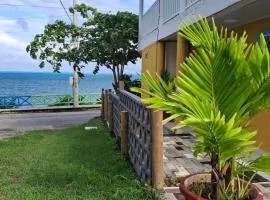 Bahia Rocky Point