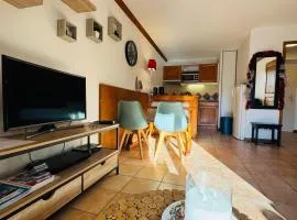 Appartement Vu Mont Blanc parking Terrasse