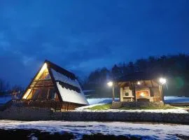 A frame Svetosavska bajka