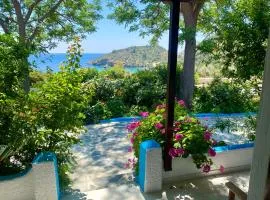 Studios Ioanna Limnionas Samos