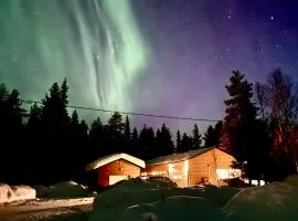 Villa Hellitä - big, private and great location