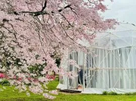 Flowerhaven - glamping dome