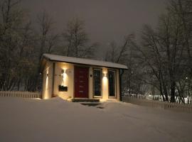 Aurora Cabin，位于基律纳的酒店