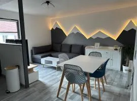 Le Vieux Thannois