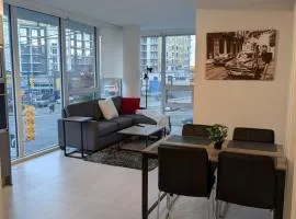 Modern 2 bedroom condo with AC in Olympic Village