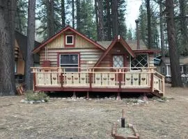Near the Slopes - Big Bear Mountain getaway