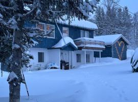 House with charm, valley with lots of northern lights, Breivikeidet, casa de campo em Troms&oslash;