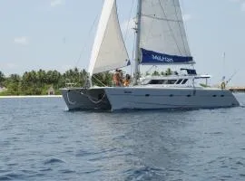 SailFish Catamaran