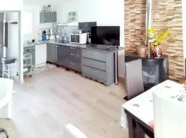 Chalet rustique à La Salvetat-sur-Agout avec vue montagne
