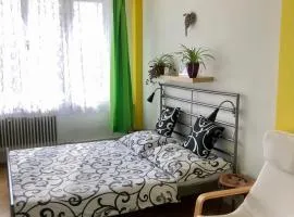 Apartmán B Luhačovice