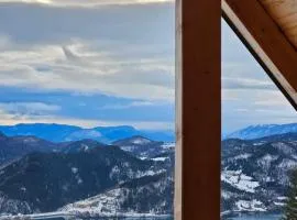 Brvnara “Vidik Breg”