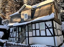 Waldtraum Lodge Winterberg für 10 Personen mit Garten und Grill, khách sạn ở Winterberg