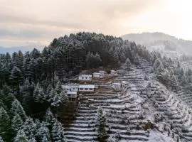The Deodar Stays