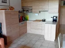 Apartmán Lipno A12