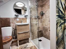 Studio Duplex le Jungle - Bourgoin Centre, hotel i Bourgoin-Jallieu