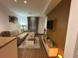 Apartman Vasić