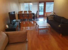 Leilighet(75m²)+hage(40m²) 20 min fra sentrum