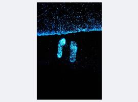 Vaadhoo View Inn، إقامة في منزل في Wadu