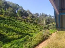 haven bridge Homestay